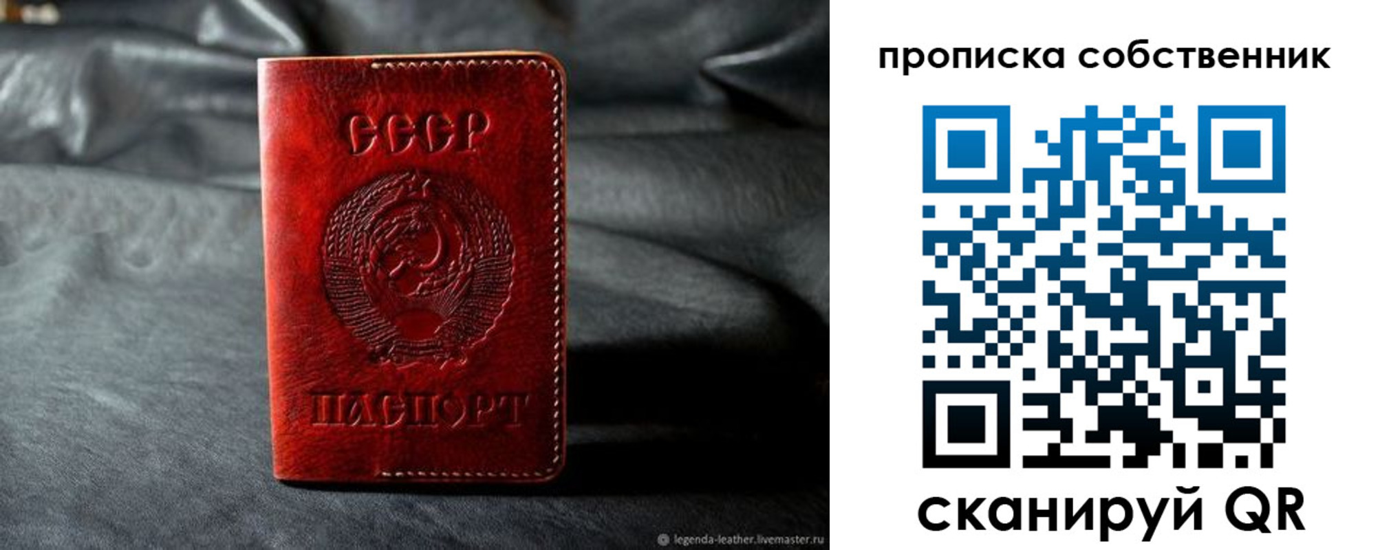 прописка поиск в Мордовии